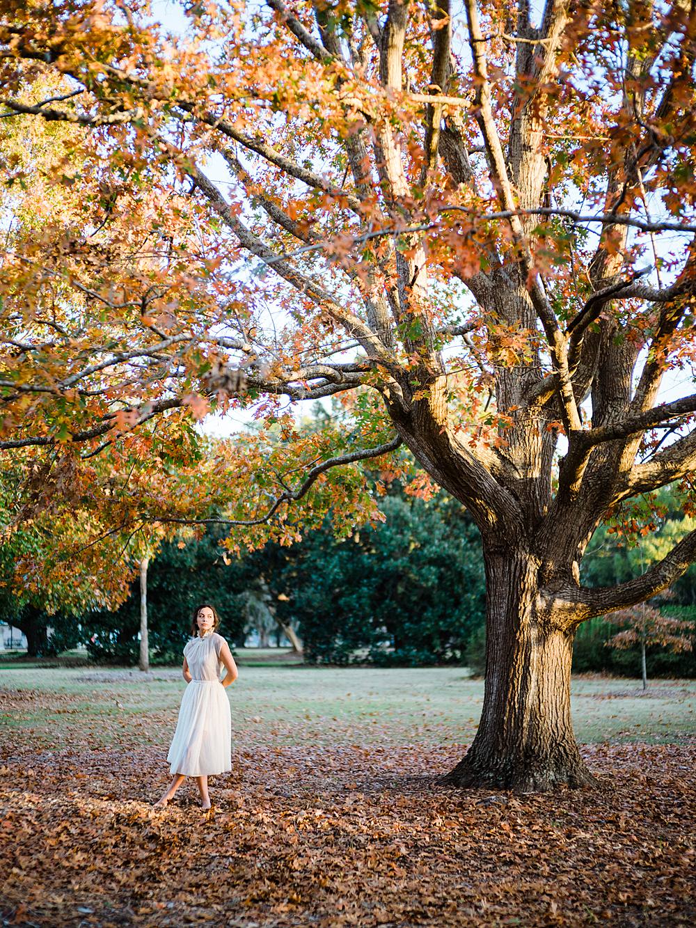 hampton park charleston south carolina lifestyle portrait with girl in vintage white dress underneath tree with fall colors by brian d smith photography