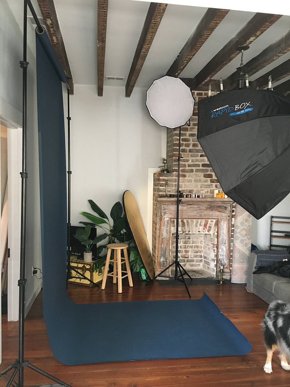 studio strobe lighting positions and diagram for shooting studio portraits on film against savage ultramarine seamless paper