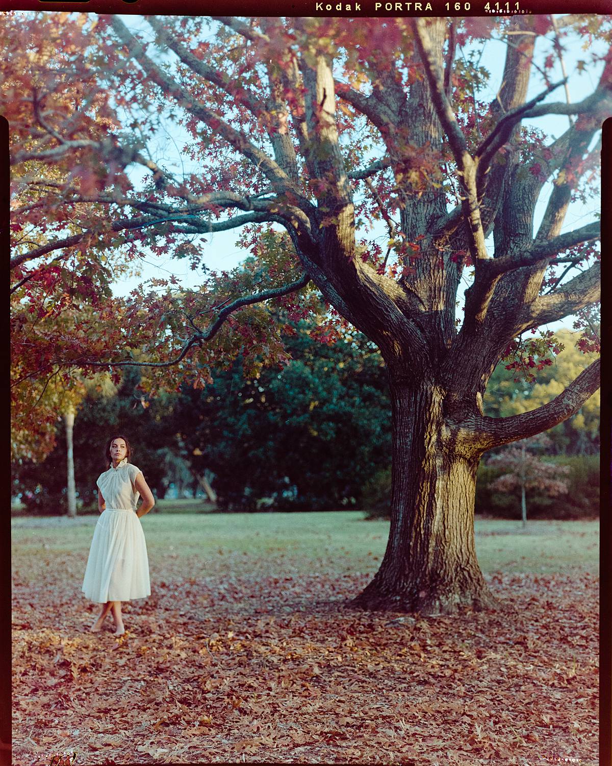 4x5 color film portrait on kodak portra 160 large format film in hampton park charleston south carolina