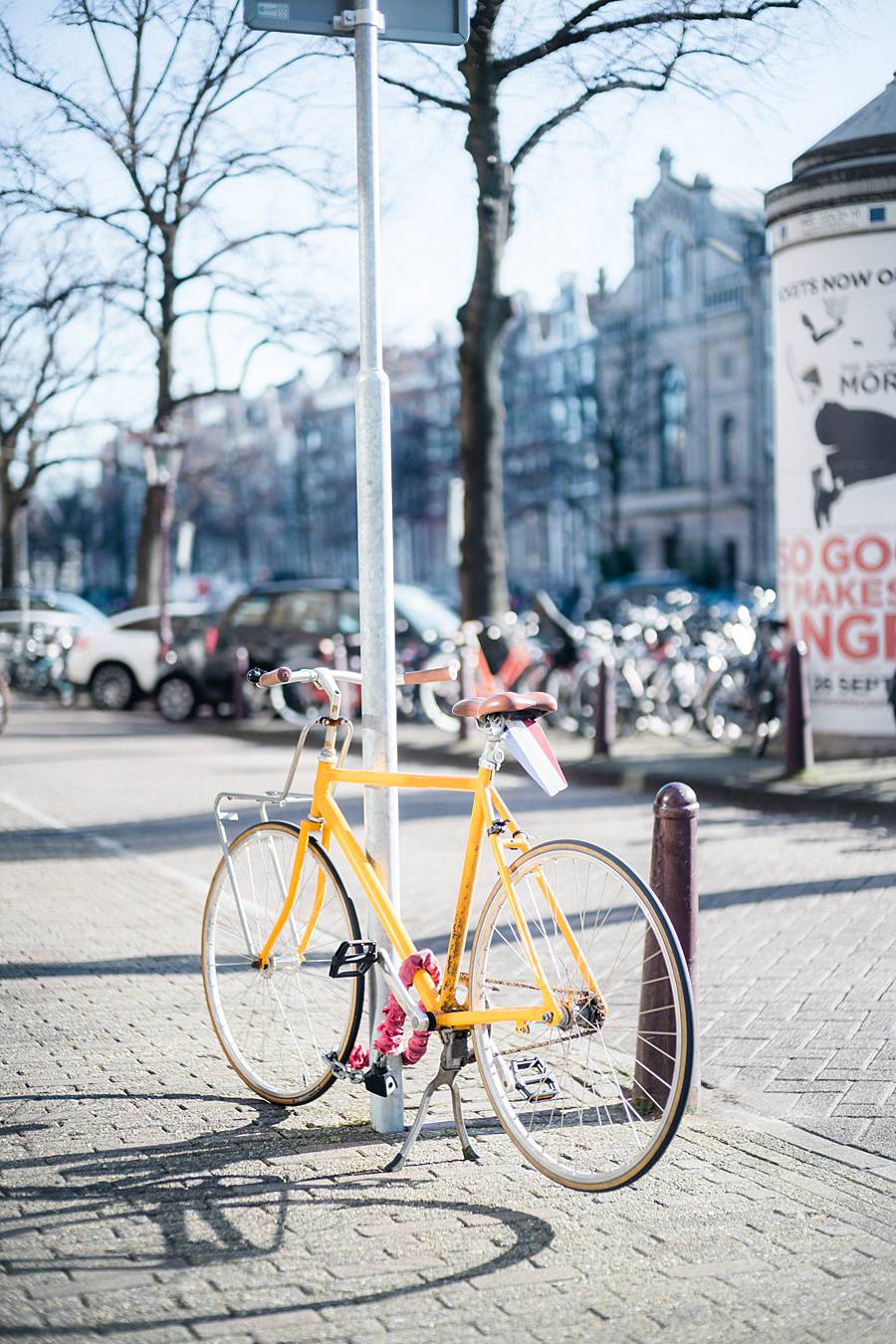 amsterdam sony a7iii leica summilux 50mm february catalina 120_web