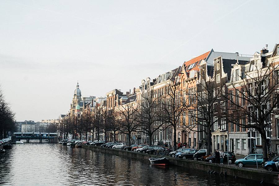 amsterdam sony a7iii leica summilux 50mm february catalina 144_web