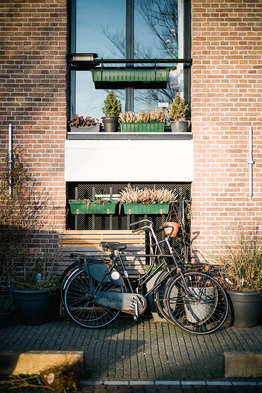 amsterdam sony a7iii leica summilux 50mm february catalina 175_web