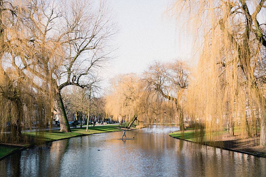 amsterdam sony a7iii leica summilux 50mm february catalina 35_web