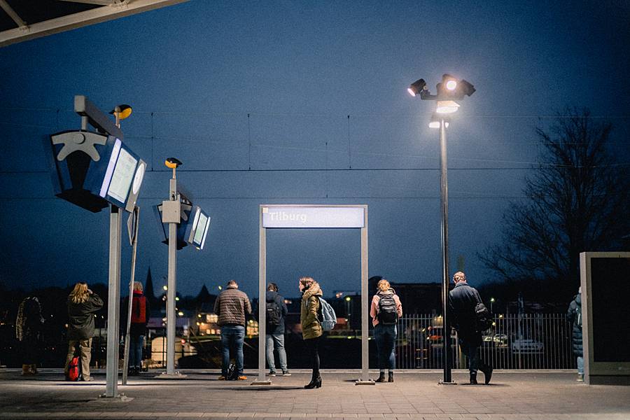 amsterdam sony a7iii leica summilux 50mm february catalina 83_web