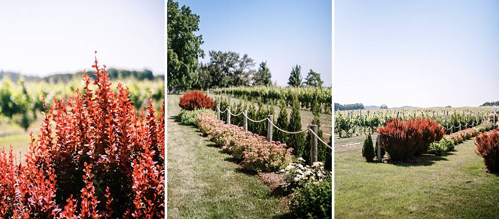 aurora cellars wedding venue entrance in northern michigan by michigan wedding photographer brian d smith