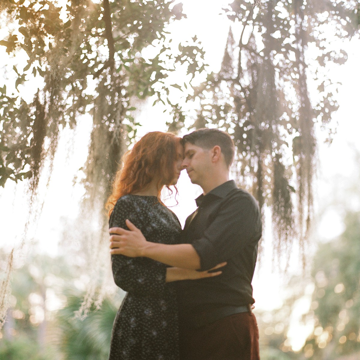 charleston sc couple under spanish moss oak tree at hampton park shot on kodak portra 800 film with hasselblad