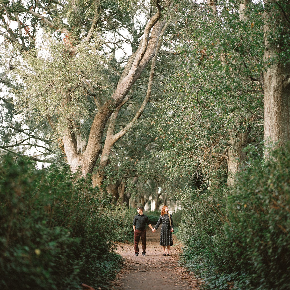 couple shot on kodak portra 800 medium format film during charleston sc anniversary session at hampton park