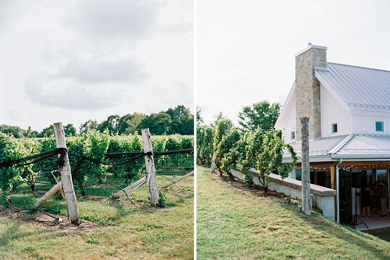 brengman brother's winery wedding venue at sunset on kodak portra 800 film by brian d smith photography